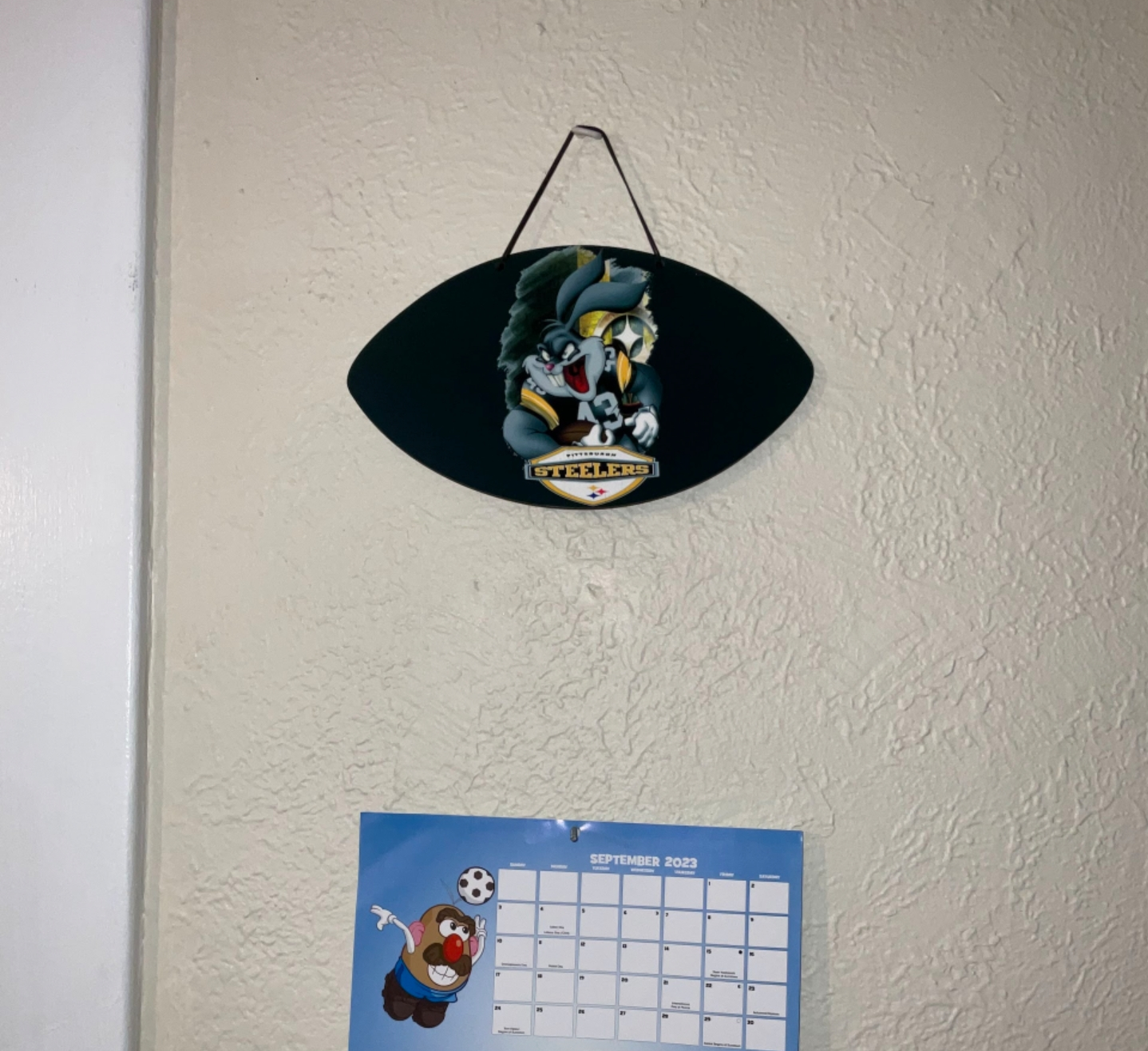 Football Door /Wall/Fence hangers