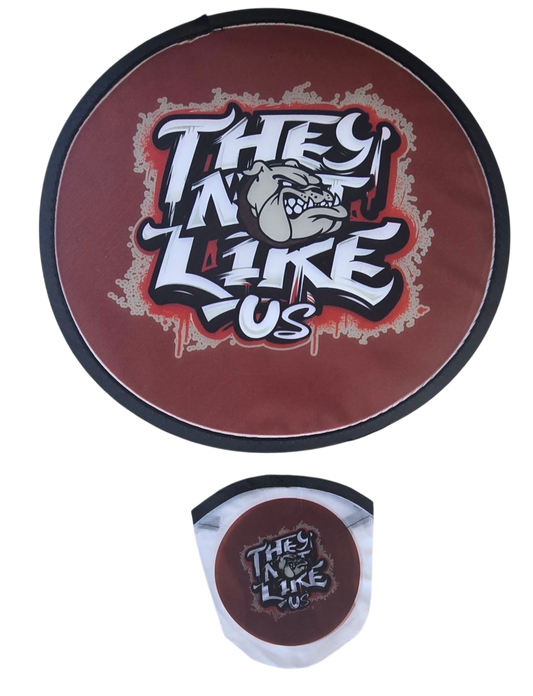 Foldable Fan Frisbee with pouch